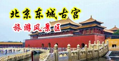 我想看美女大逼逼和大奶子操逼逼中国北京-东城古宫旅游风景区